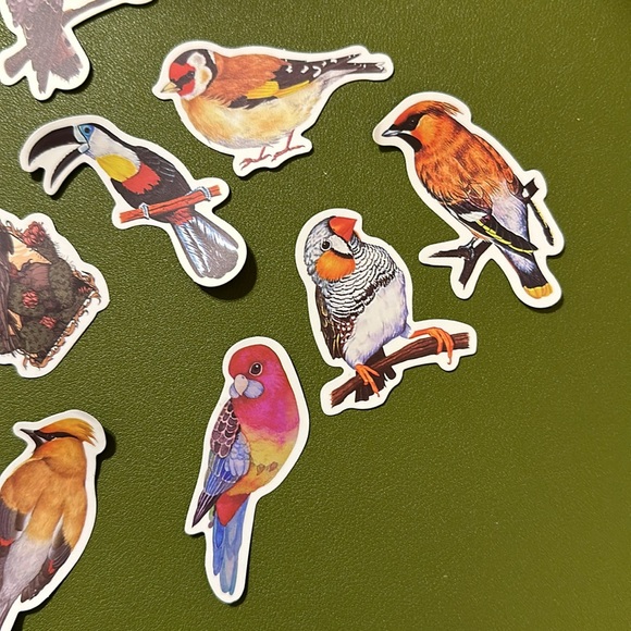NEW Set of 14 colorful birds stickers NWOT - Picture 4 of 6